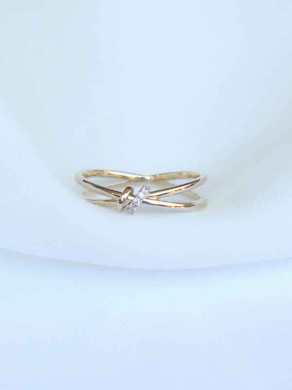 ANILLO DOBLE CON AROS MÓVILES