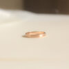FLAT STEPPED EDGE