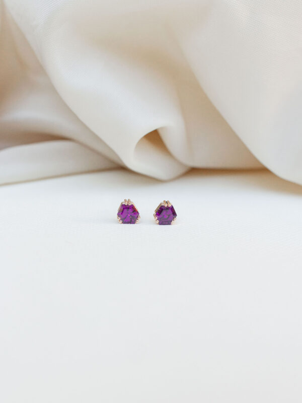 STUDS CON RODOLITAS
