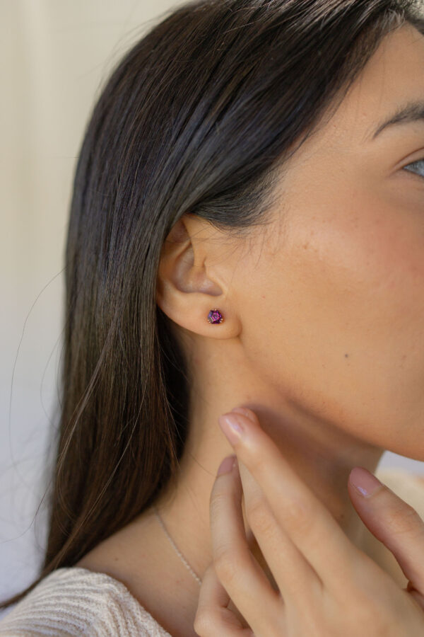 STUDS CON RODOLITAS