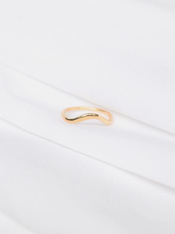 ANILLO CON CURVA