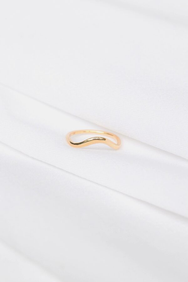 ANILLO CON CURVA
