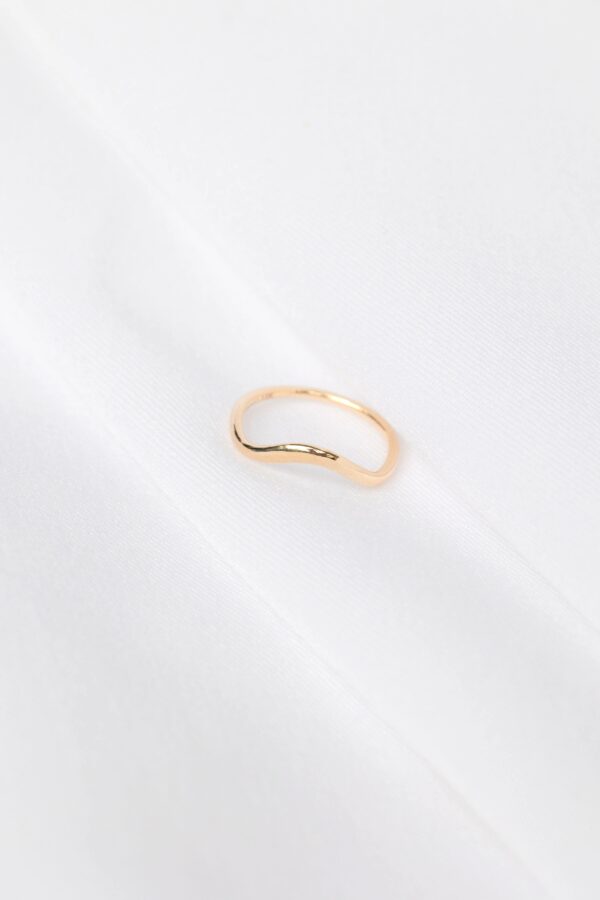ANILLO CON CURVA